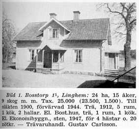 Bosstorp