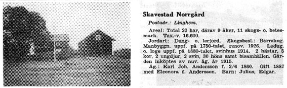 Skavestad
