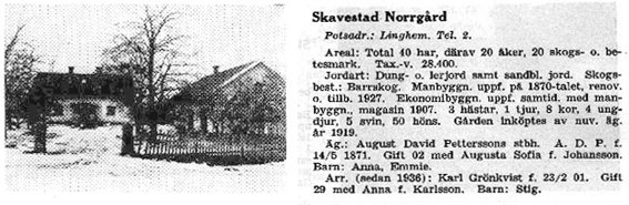 Skavestad